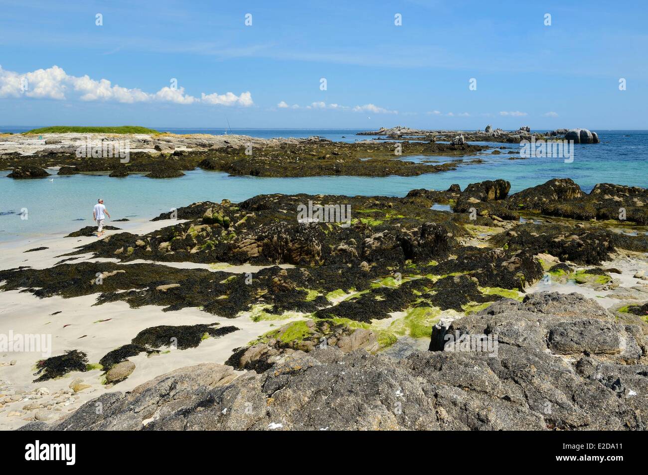 France Finistere La Foret Fouesnant Glenan islands Ile aux Moutons Stock Photo