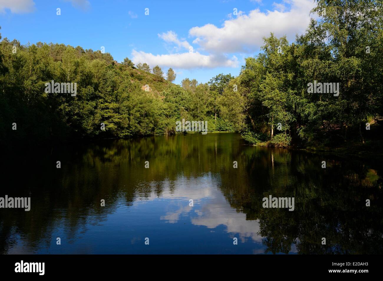 France Morbihan Broceliande Forest Trehorenteuc the Mare aux Fees (the Fairy Pond) of the Val sans Retour (Valley of No Return) Stock Photo