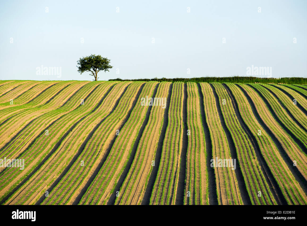 Ploughed field hires stock photography and images Alamy