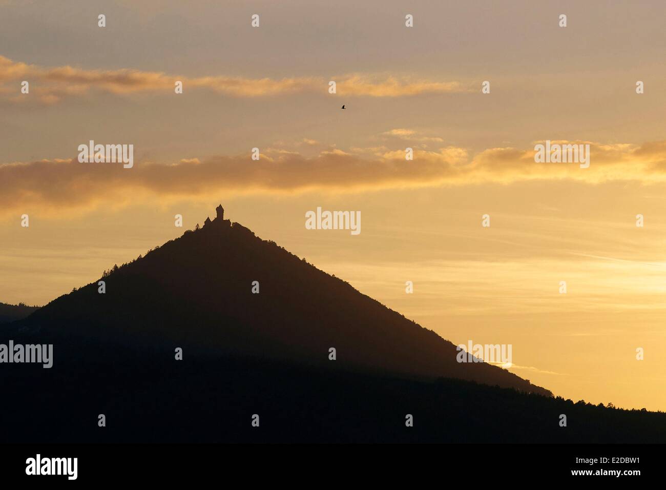 Haut Rhin Bas Rhin France Bas Rhin Orschwiller Haut Koenigsbourg castle Stock Photo - Alamy