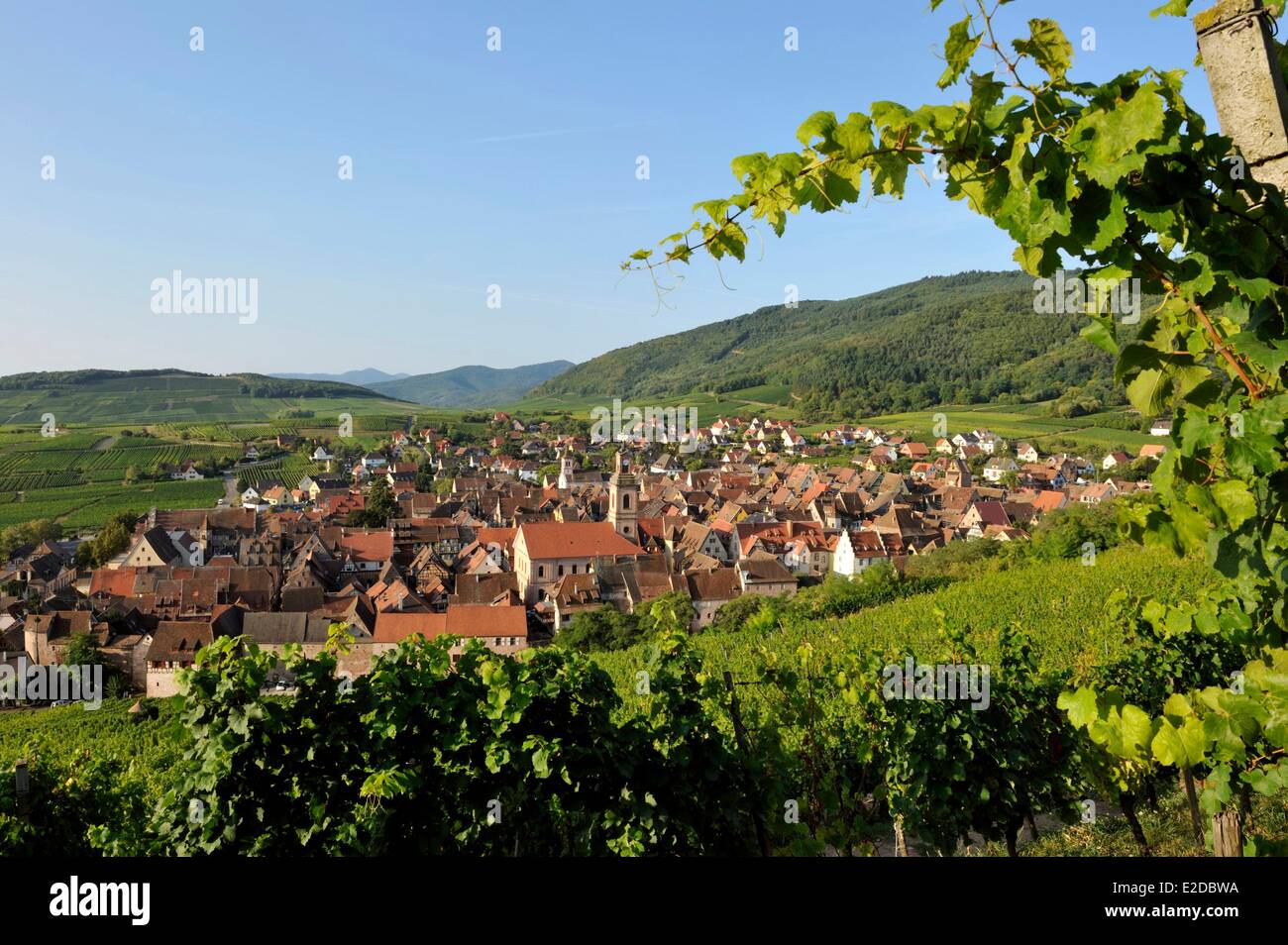 France Haut Rhin Alsace Wine Route Riquewihr labelled Les Plus Beaux Villages de France (The Most Beautiful Villages of France) Stock Photo