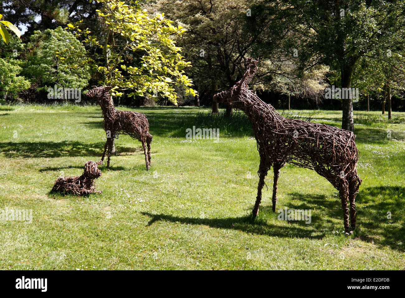 WILLOW GARDEN SCULPTURES OF DEER. ABBOTSBURY GARDENS DORSET UK Stock Photo Alamy