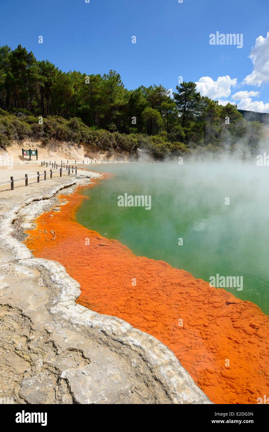 New Zealand North Island Rotorua District Taupo Volcanic Zone the
