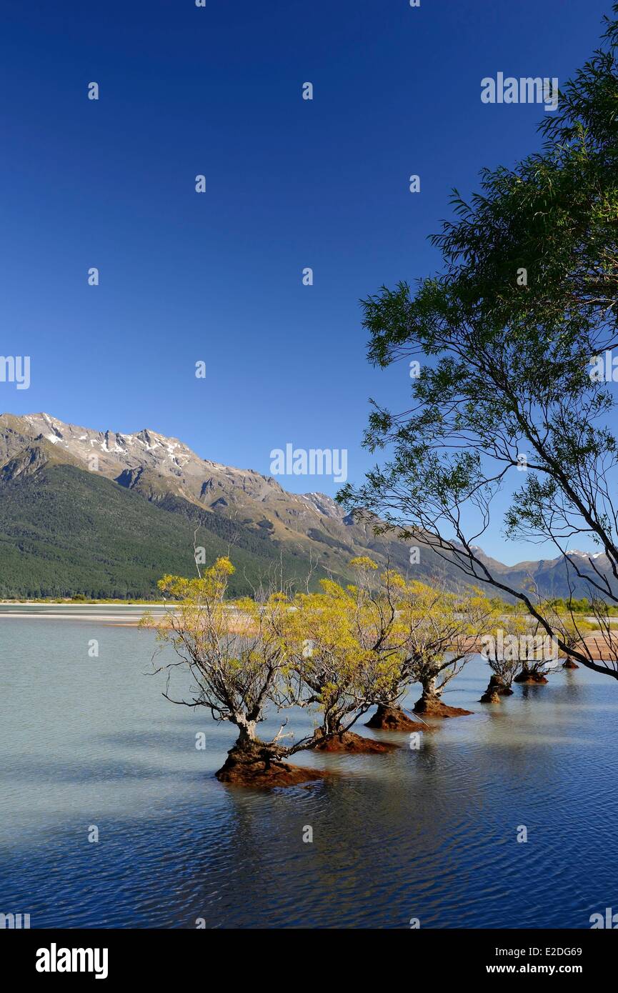 New Zealand South Island Otago region the end of Lake Wakatipu in ...
