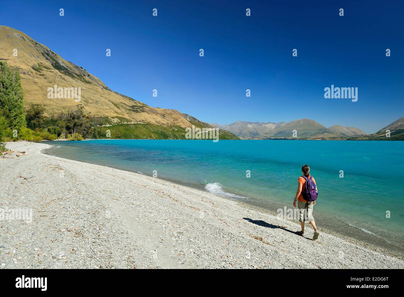 New Zealand South Island Otago region the Lake Wakatipu between ...