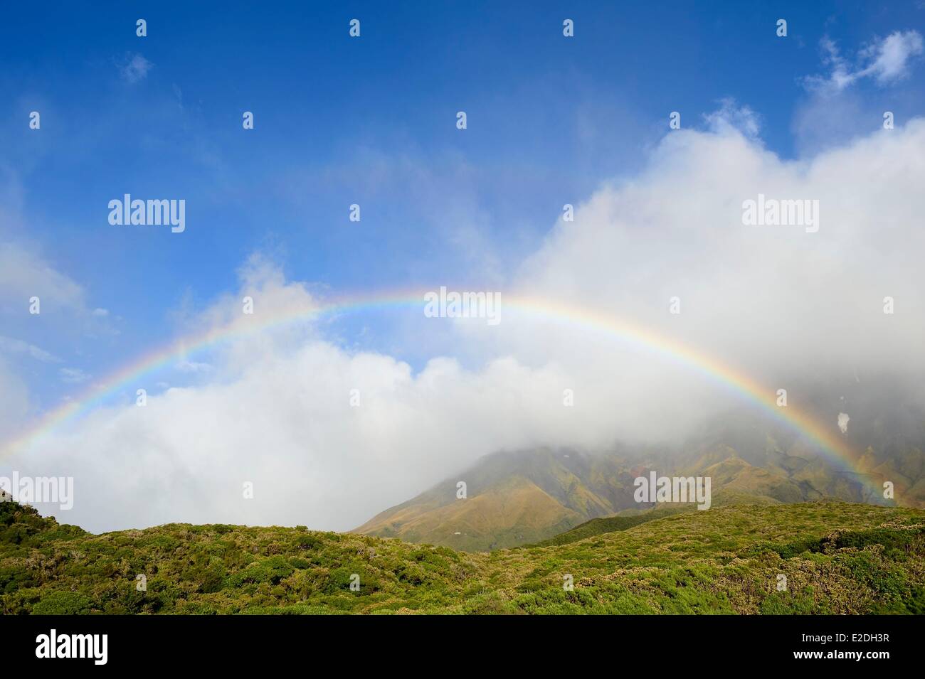 New Zealand, North Island, Egmont National Park, a rainbow at the foot of Mount Taranaki which is the largest andesitic stratovolcano in New Zealand Stock Photo