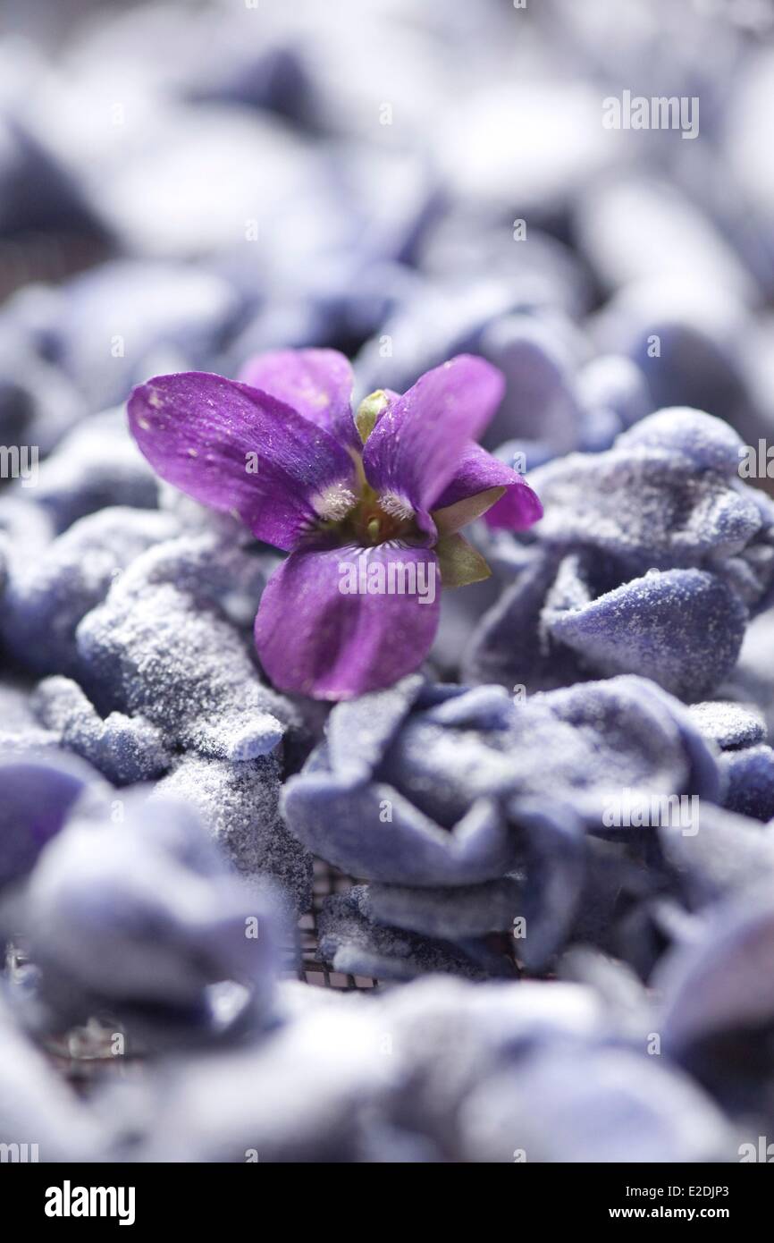France, Haute Garonne, Toulouse, Candiflor, crystallized violets