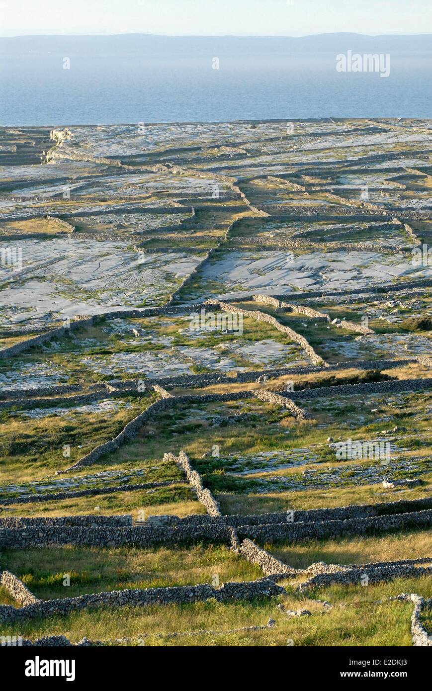 Ireland County Galway Aran Islands Inishmaan dry stone walls Galway Bay