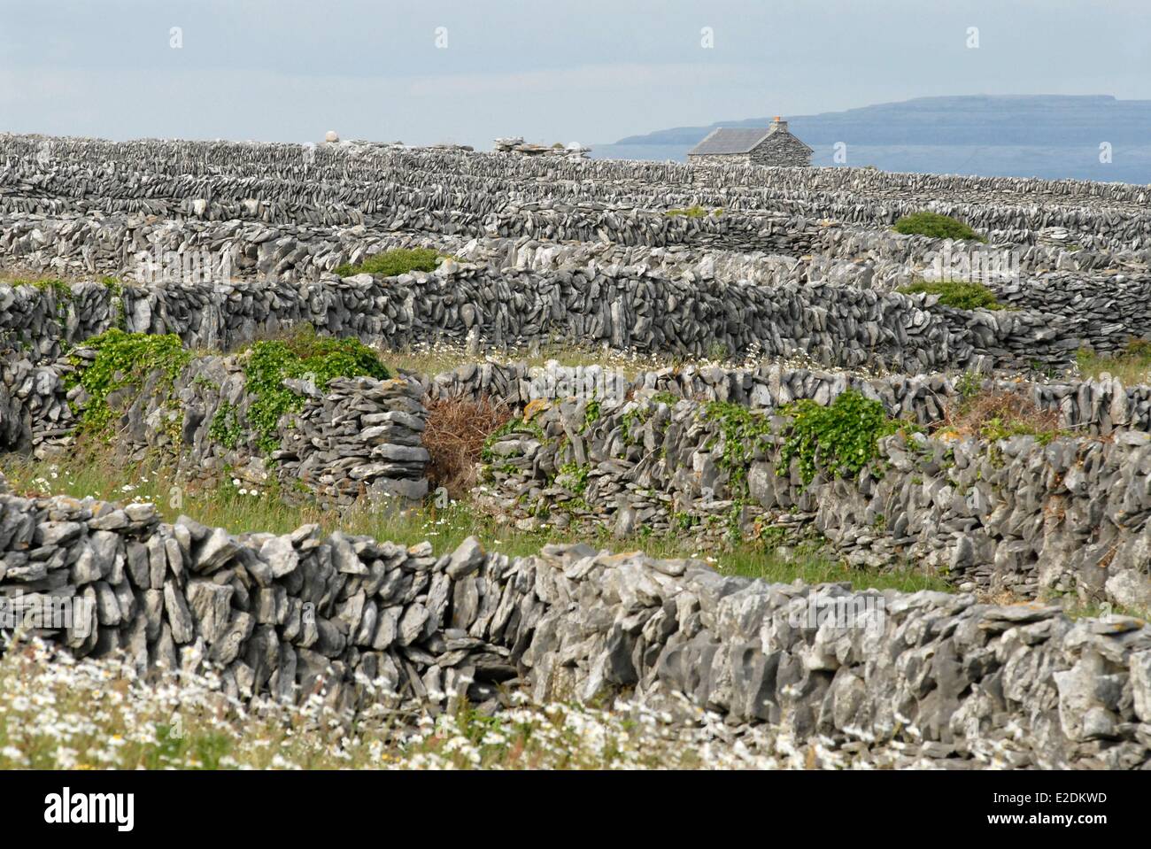 Ireland County Galway Aran Islands Inisheer dry stone walls and stone house Stock Photo Alamy