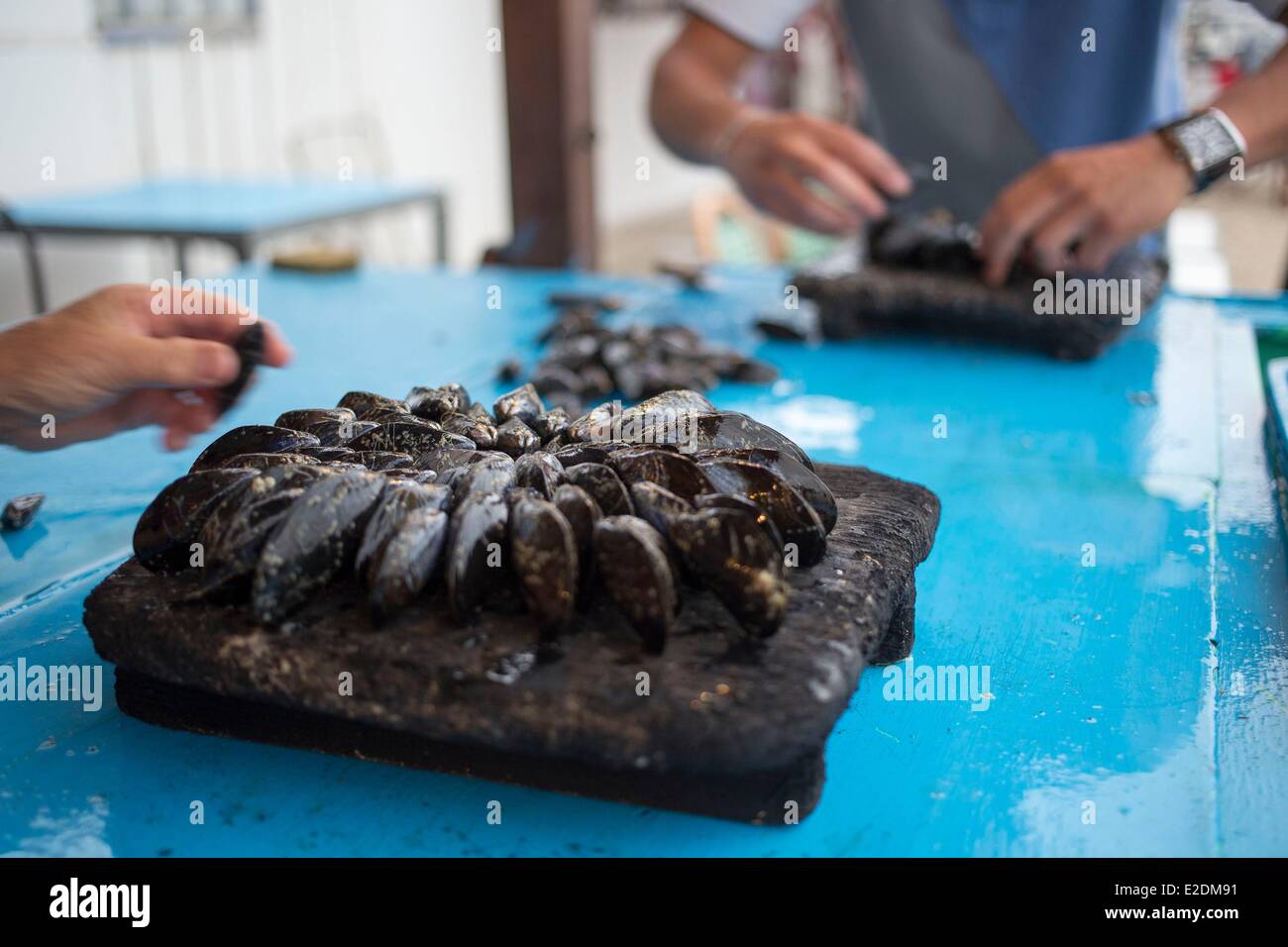 France Charente Maritime La Tremblade eclade typical and local dish