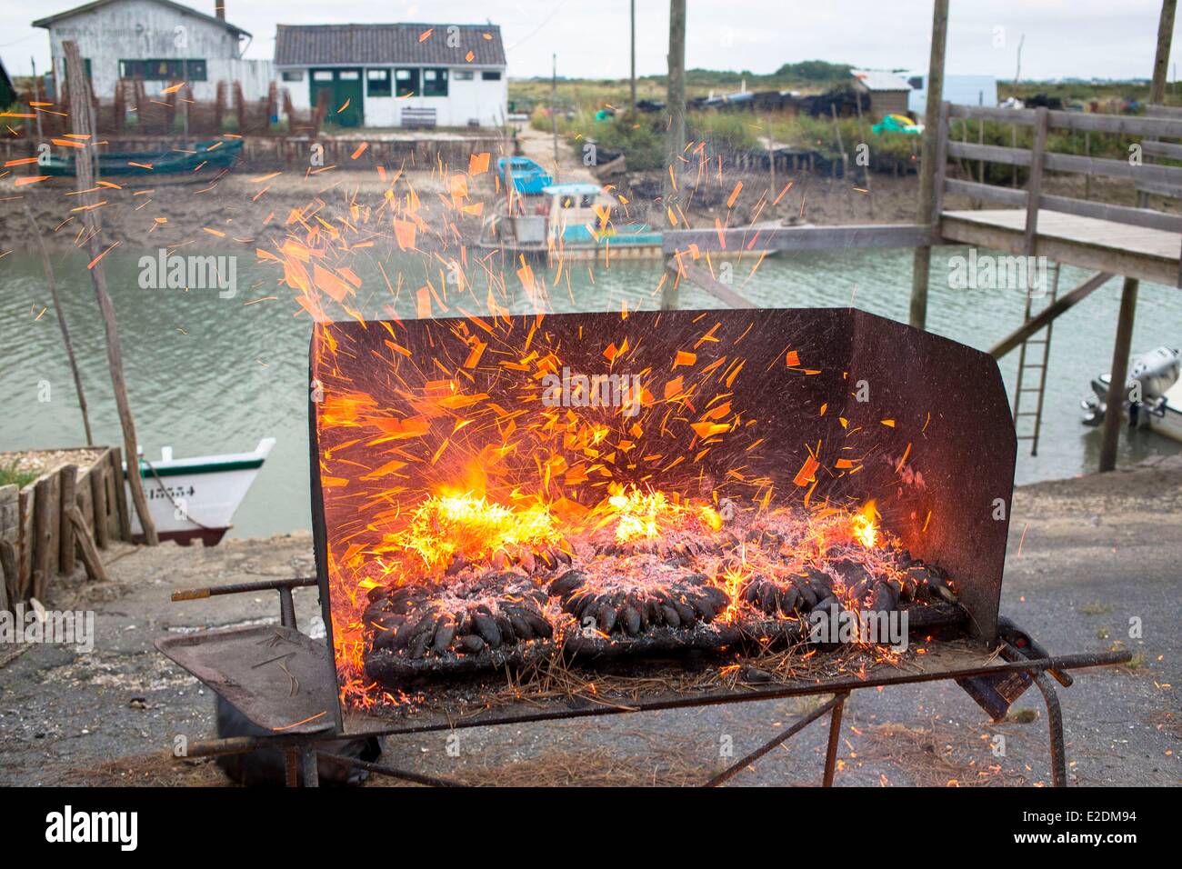 France Charente Maritime La Tremblade eclade typical and local dish  alignment of mussels cooked in a fire of pine needles Stock Photo - Alamy