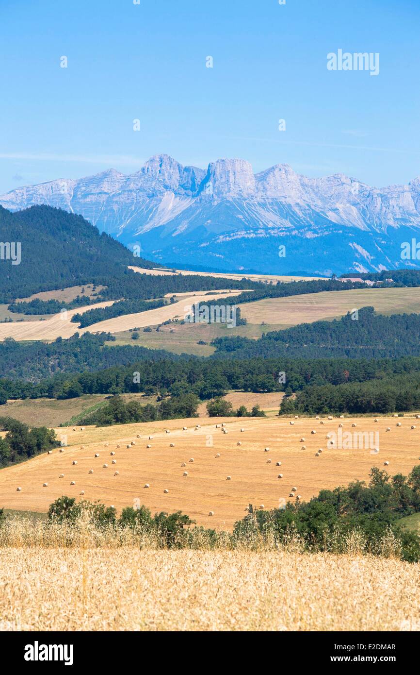 France Isere Trieve Region around Mens Vercors mountains les Deux soeurs straw bales Stock Photo