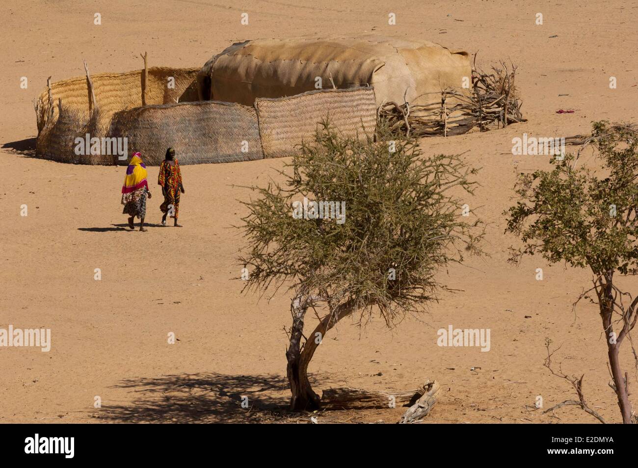 Chad Southern Sahara desert Ennedi massif Archei Toubou nomad camp Stock Photo