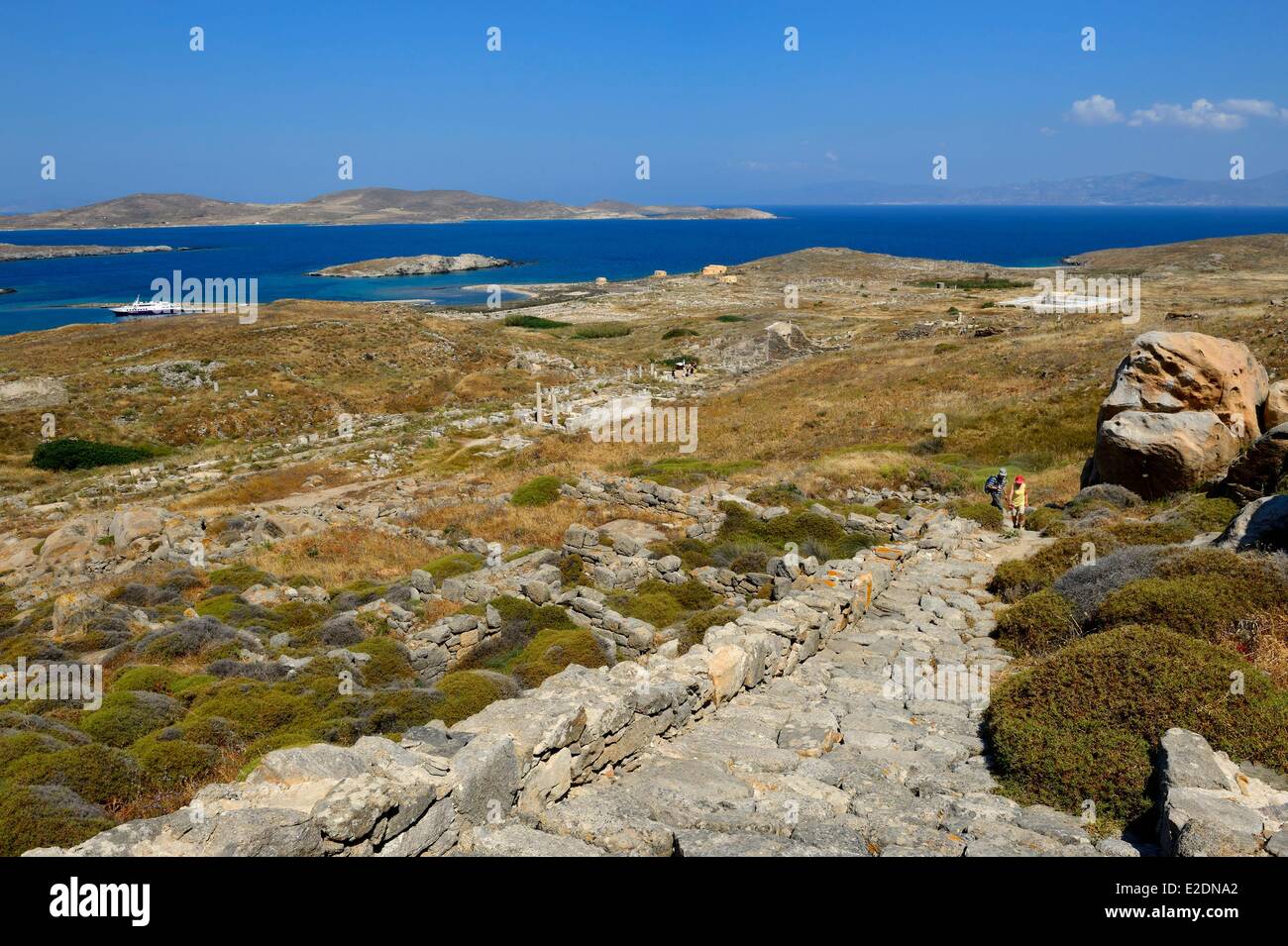 Greece Cyclades islands Delos listed as World Heritage by UNESCO the archaeological site of Delos Apollo's Sanctuary the most Stock Photo