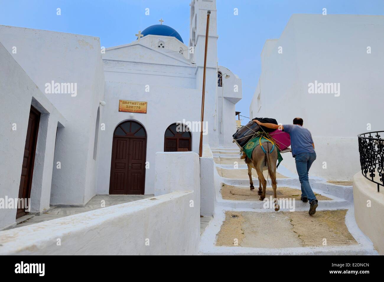 Greece Cyclades Aegean Sea Santorini (Thira or Thera) village of Pyrgos bringing the luggage up with a donkey Stock Photo