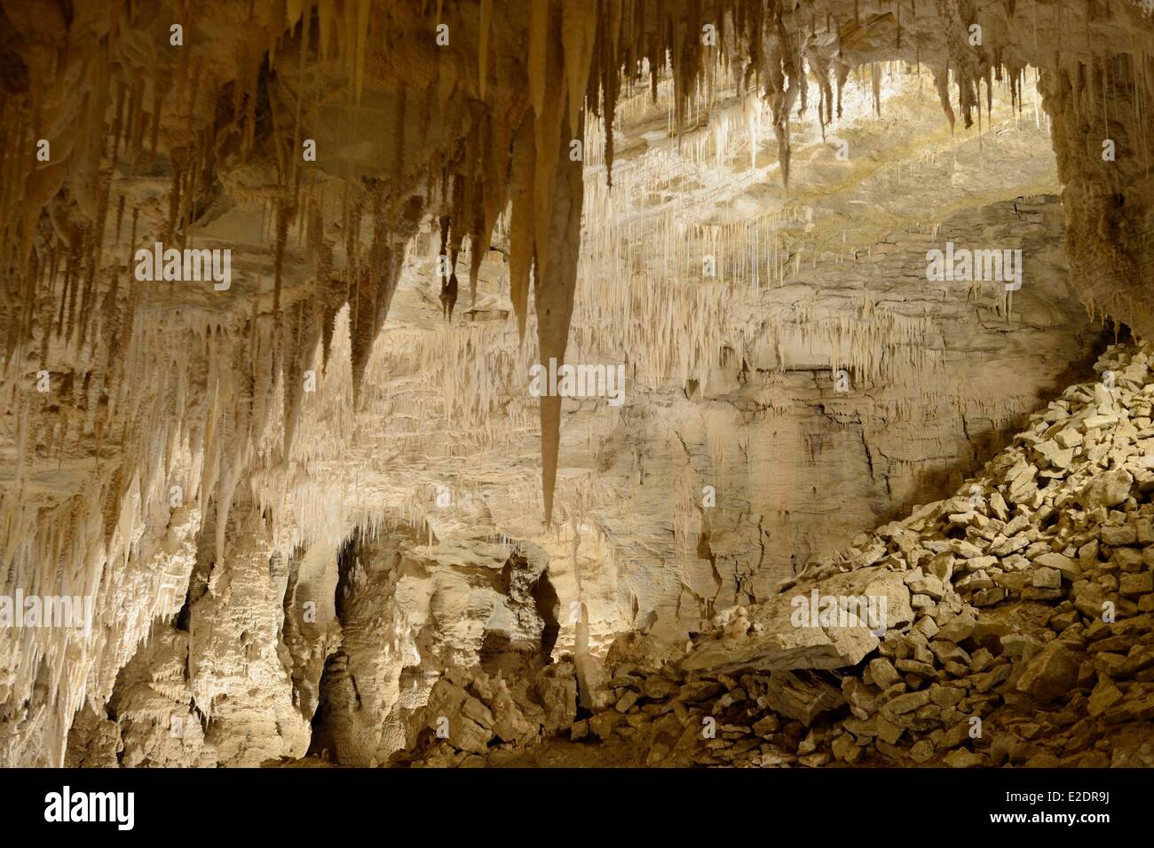 New Zealand North island Waikato region the Waitomo Glowworm Caves