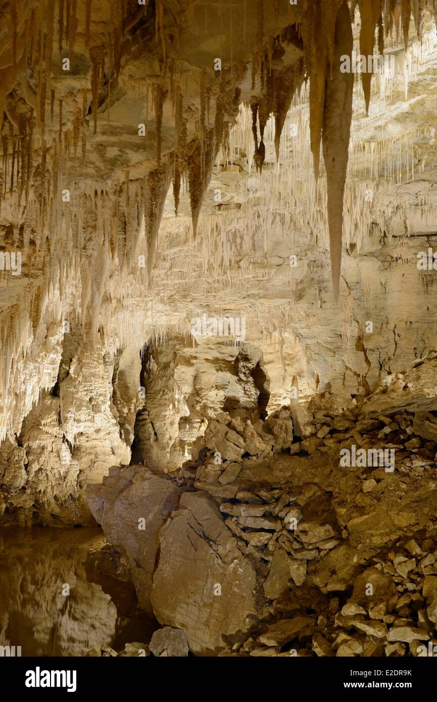 New Zealand North island Waikato region the Waitomo Glowworm Caves
