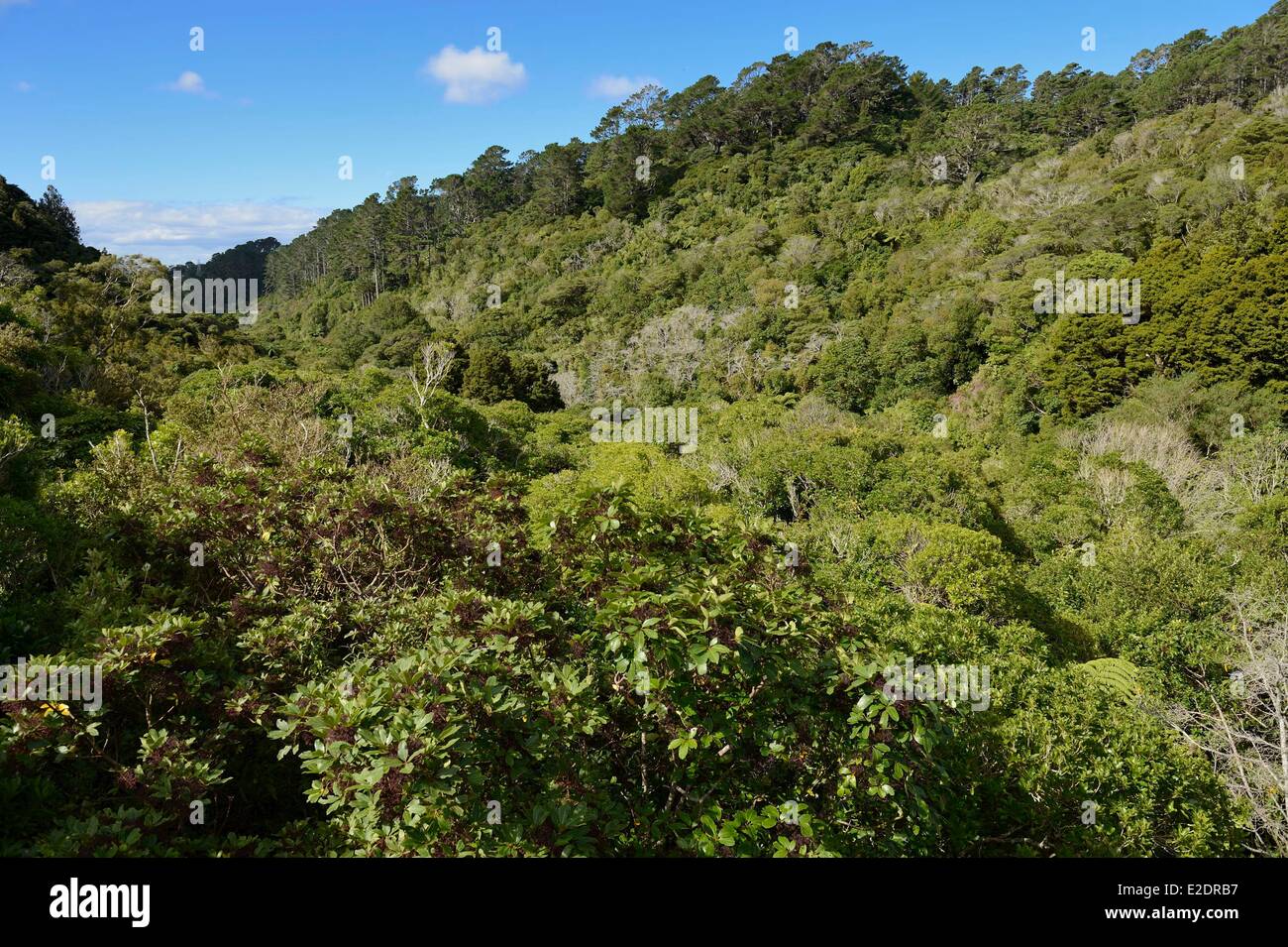 Karori wellington hires stock photography and images Alamy