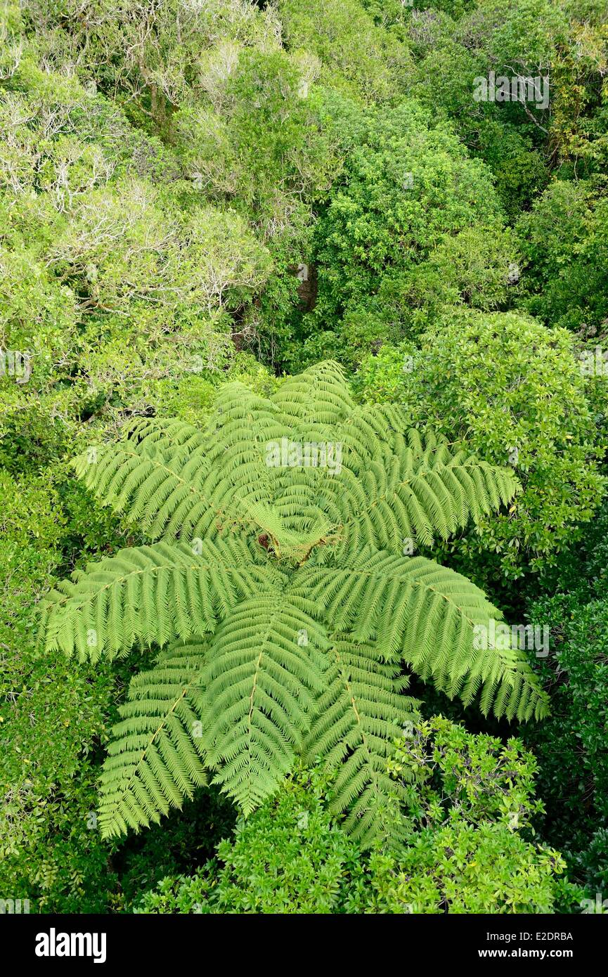 New Zealand North island Wellington Zealandia (formerly known as the Karori Wildlife Sanctuary