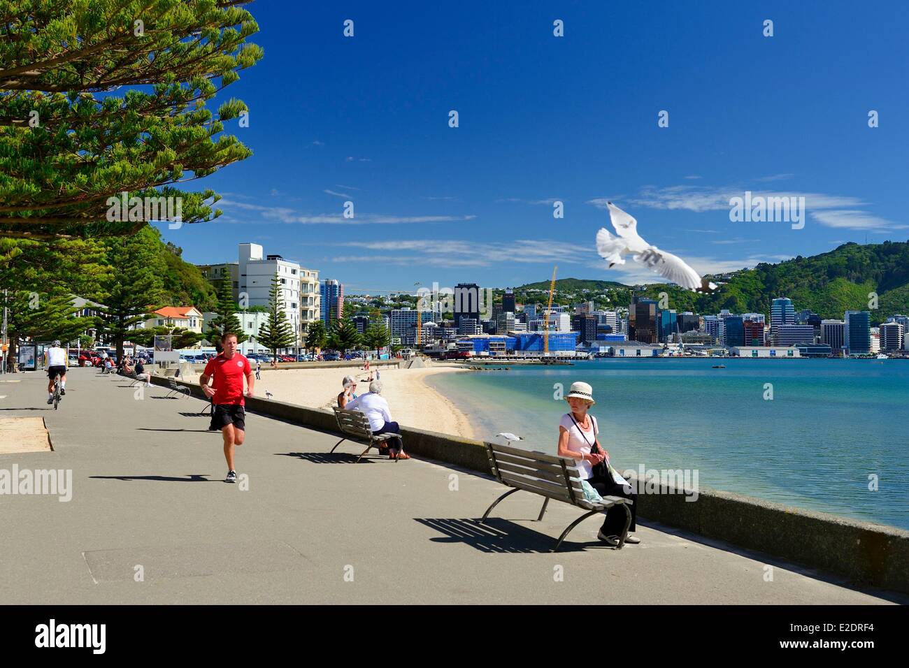 New Zealand North island Wellington Oriental Bay wellknown for its beaches and cafes Stock Photo