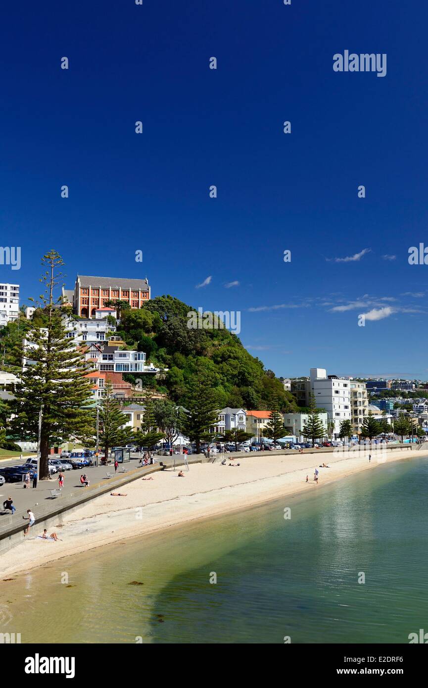 New Zealand North island Wellington Oriental Bay wellknown for its beaches and cafes Stock Photo