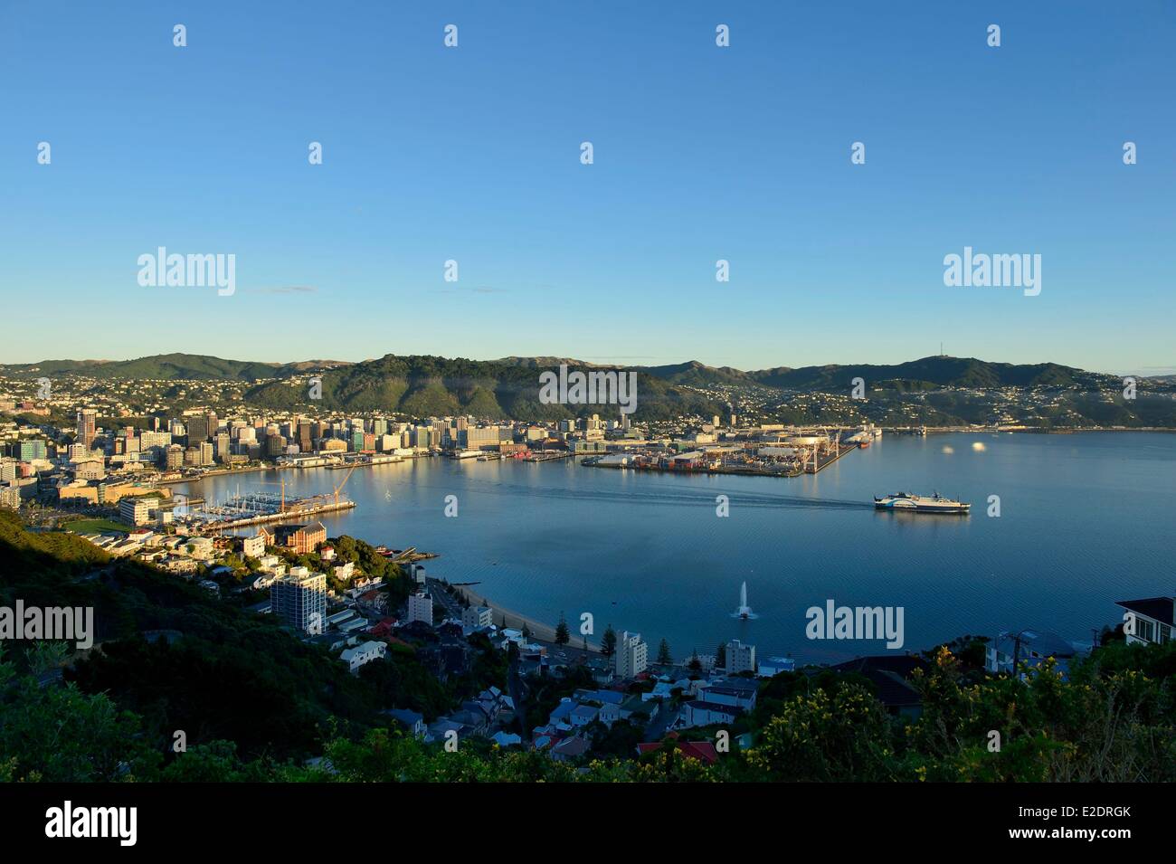 New Zealand North island Wellington Oriental Bay viewed from the top of Mount Victoria (196m) Stock Photo