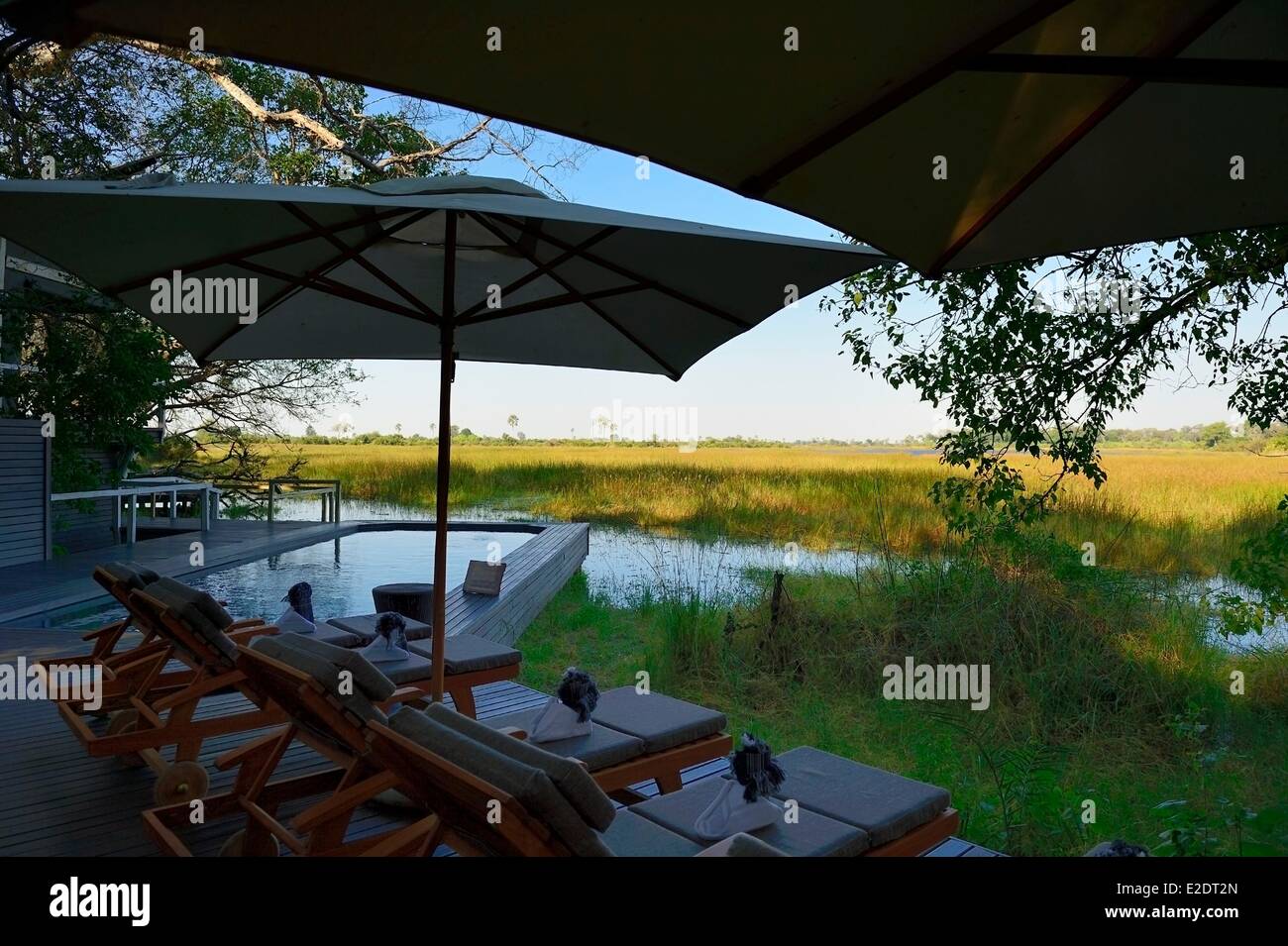 Botswana North West District the Okavango Delta the Abu Camp whose name pays tribute to the elephant Abu star of many films of Stock Photo