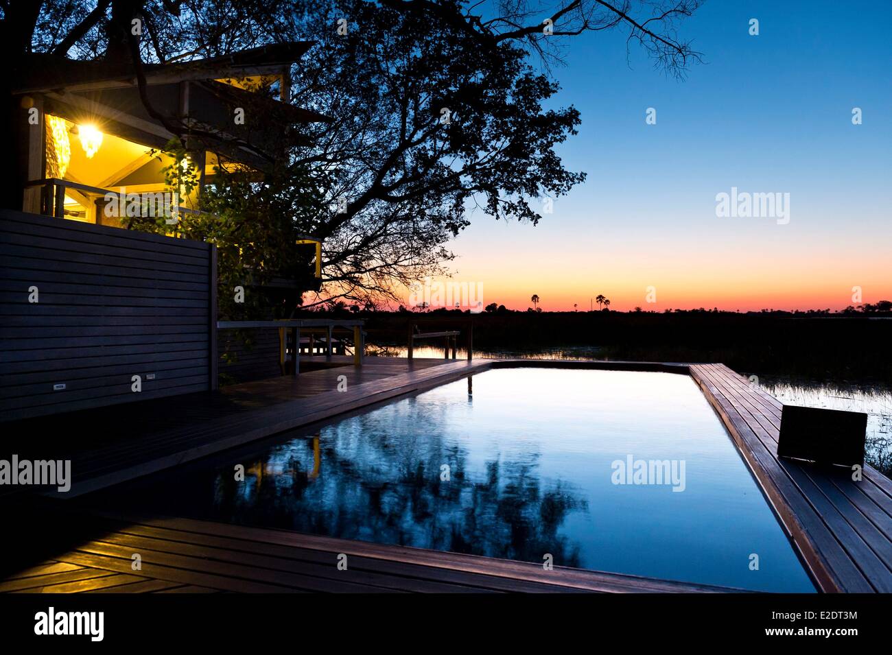 Botswana North West District the Okavango Delta the Abu Camp whose name pays tribute to the elephant Abu star of many films of Stock Photo