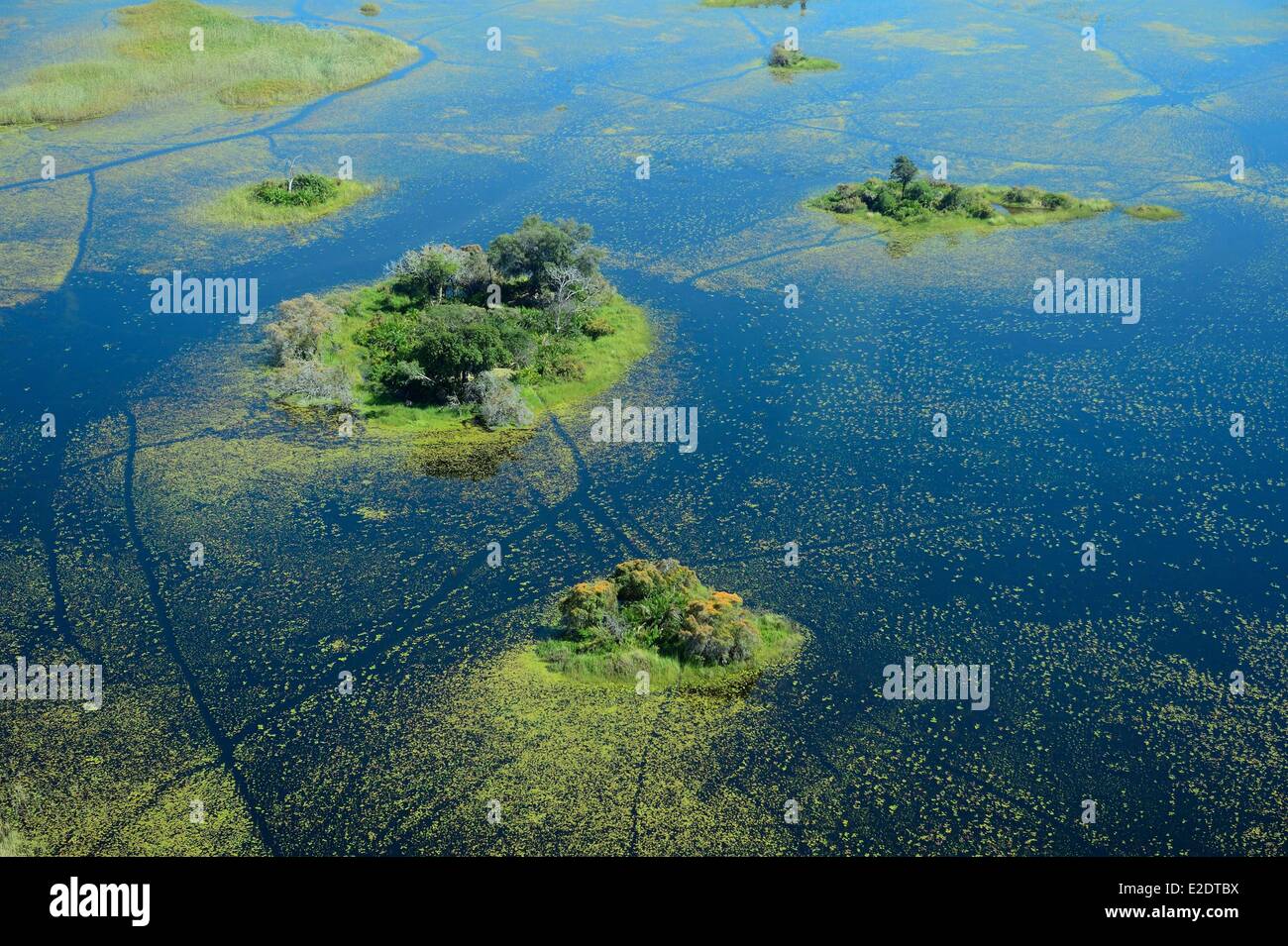 Botswana Northwest district Okavango delta (aerial view) Stock Photo