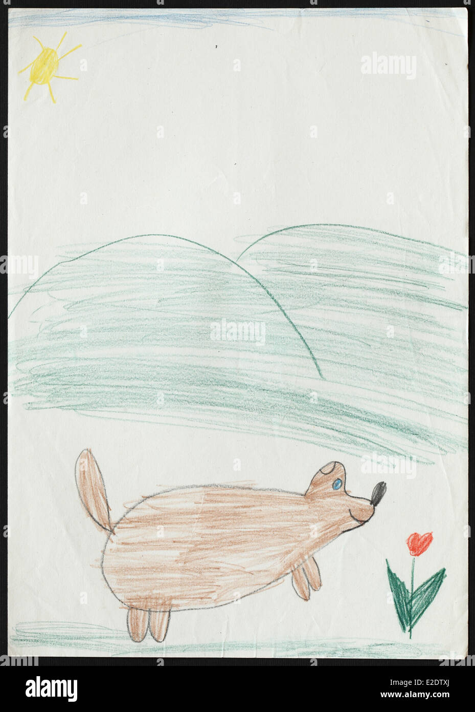 Original child's drawing of a dog drawn by a five-year-old girl. Stock Photo