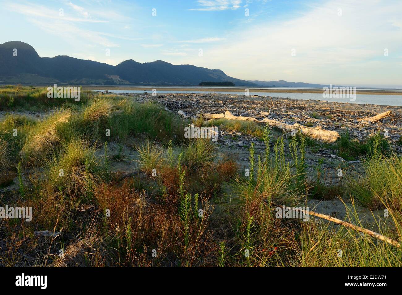 New Zealand, South island, Tasman region, Collingwood along the Golden