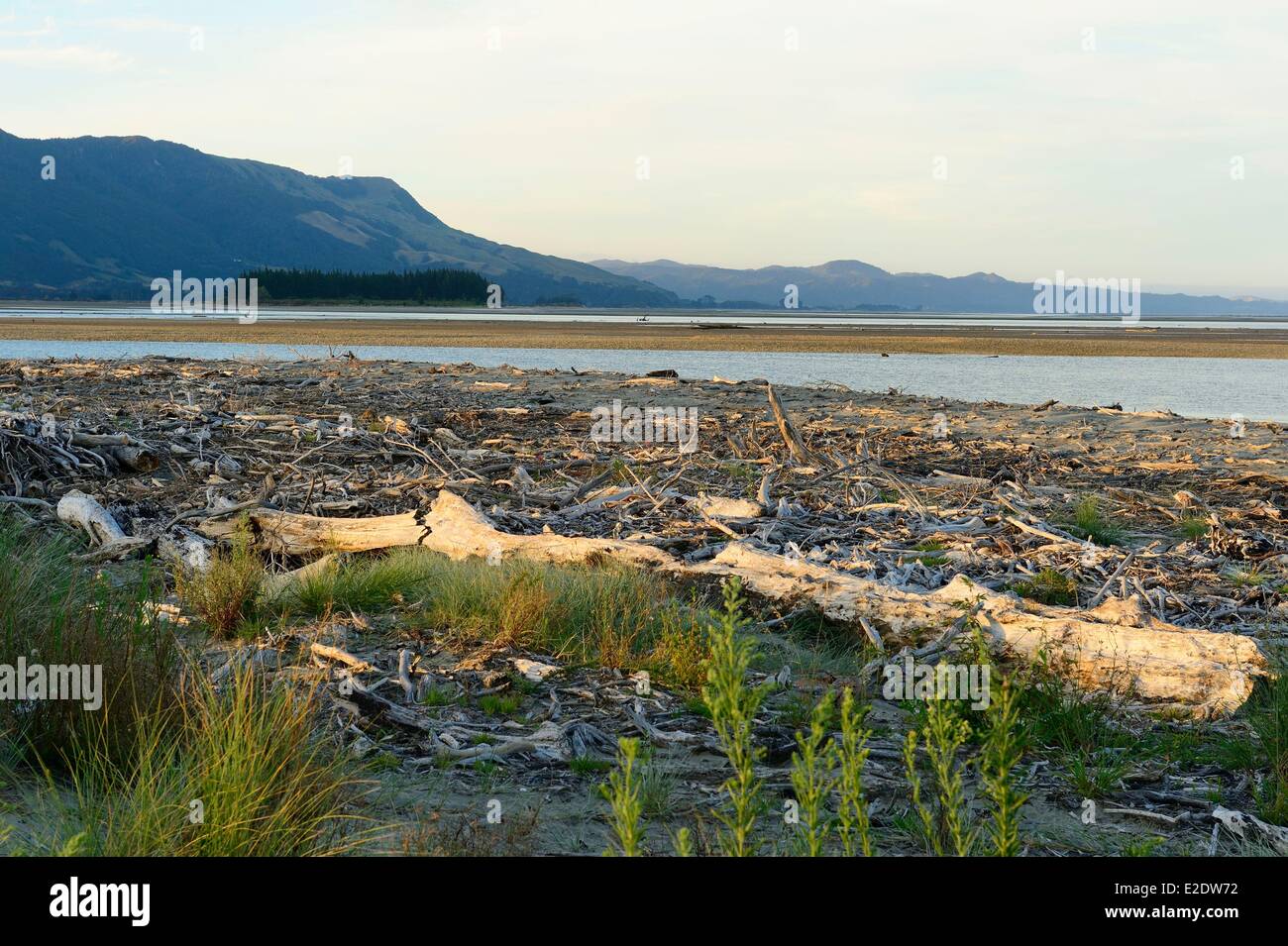 New Zealand, South island, Tasman region, Collingwood along the Golden