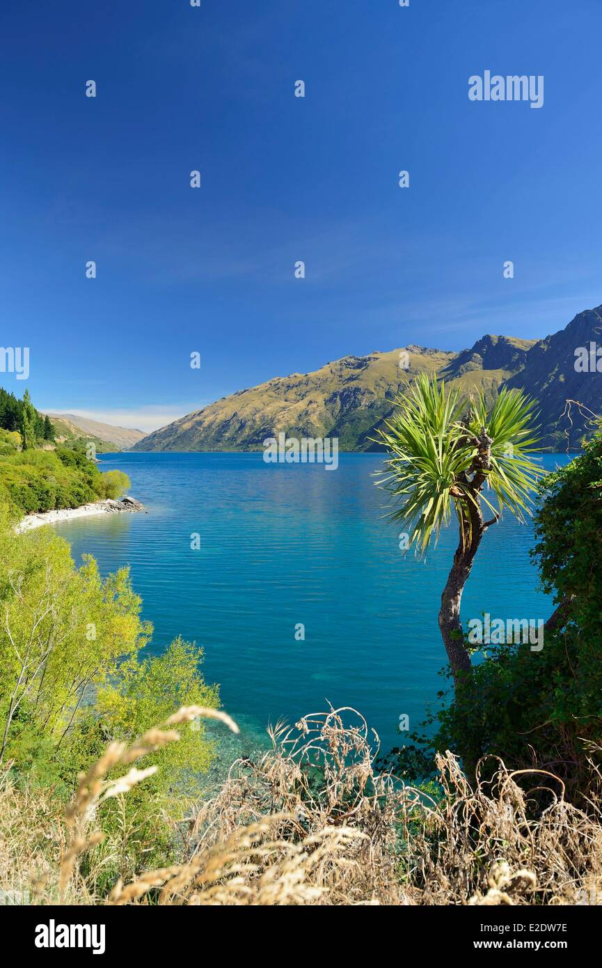 New Zealand, South island, Otago region, the Lake Wakatipu is the longest of New Zealand with a length of 80 kilometres towards Stock Photo