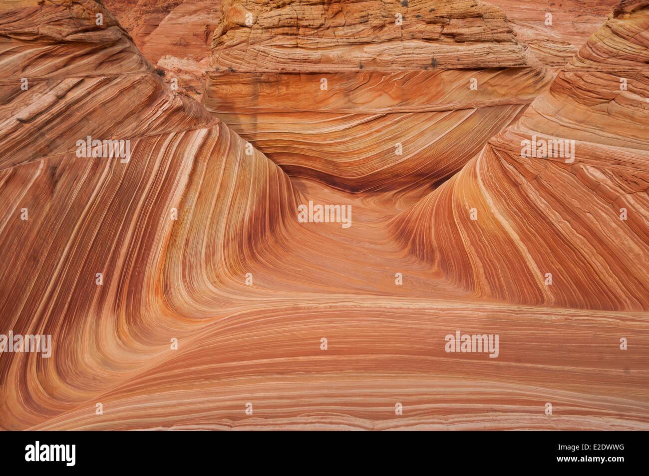 United States Arizona The Wave Coyote Buttes Marble Canyon Vermilion Cliffs Paria river Stock Photo