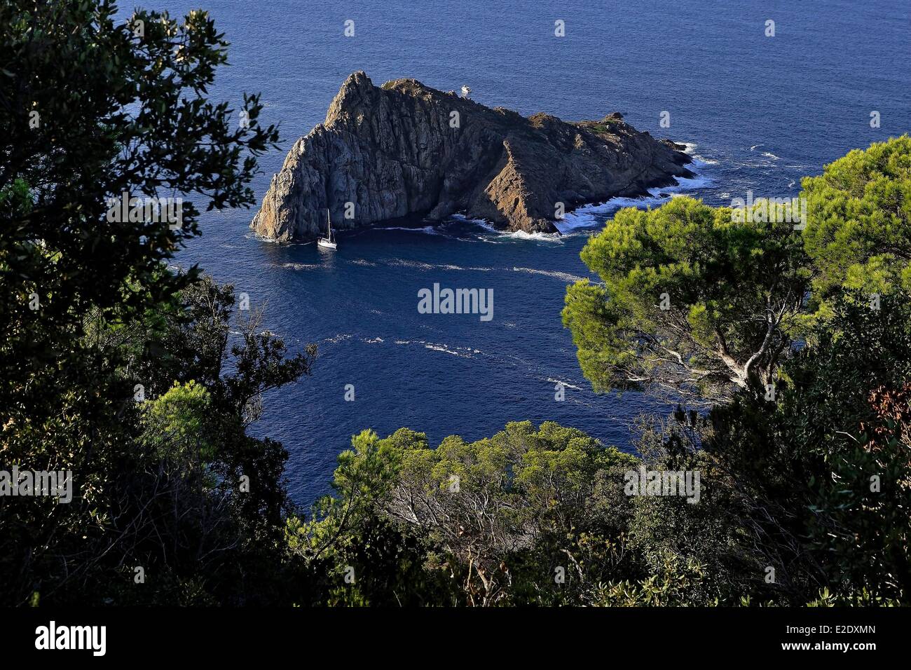 France Var Iles D Hyeres Parc National De Port Cros National Park Stock Photo Alamy