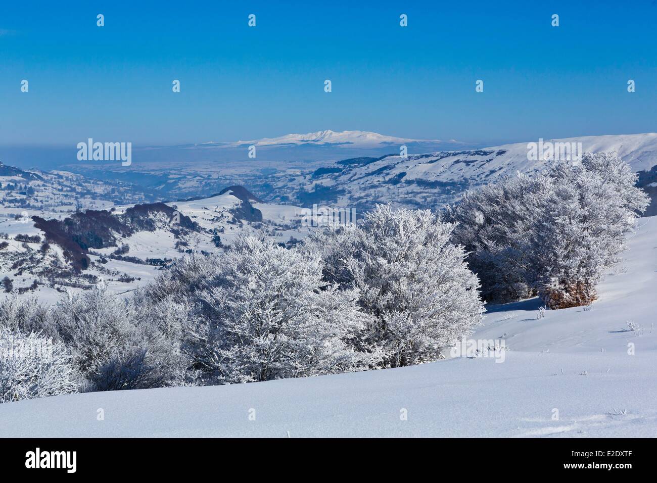 France Cantal Serre path Impradine valley Sancy massif in the background Parc Naturel Regional des Volcans d'Auvergne (Auvergne Stock Photo