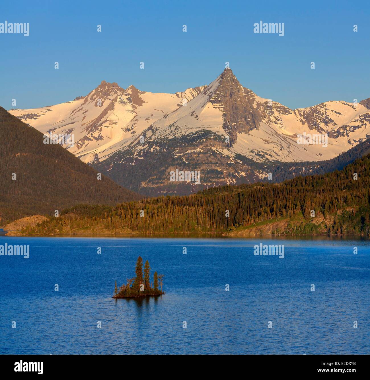 My Image 24