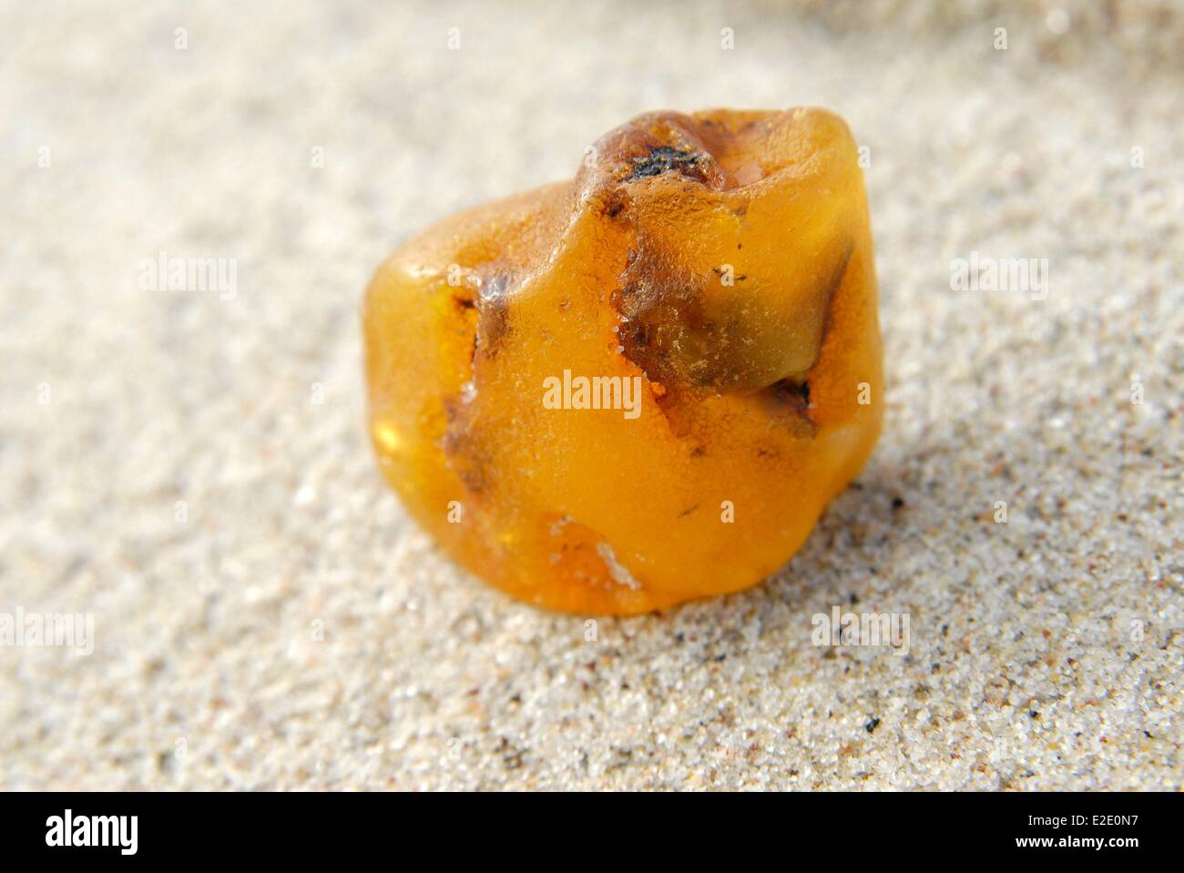 Lithuania County Neringa Nida beach piece of amber on the sand Stock Photo