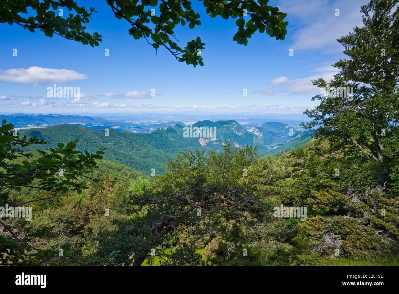 France Drome forest Sao¹ (highest perched syncline in Europe) Stock Photo