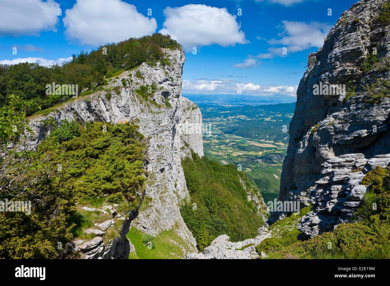 France Drome forest Sao¹ (highest perched syncline in Europe) Stock Photo