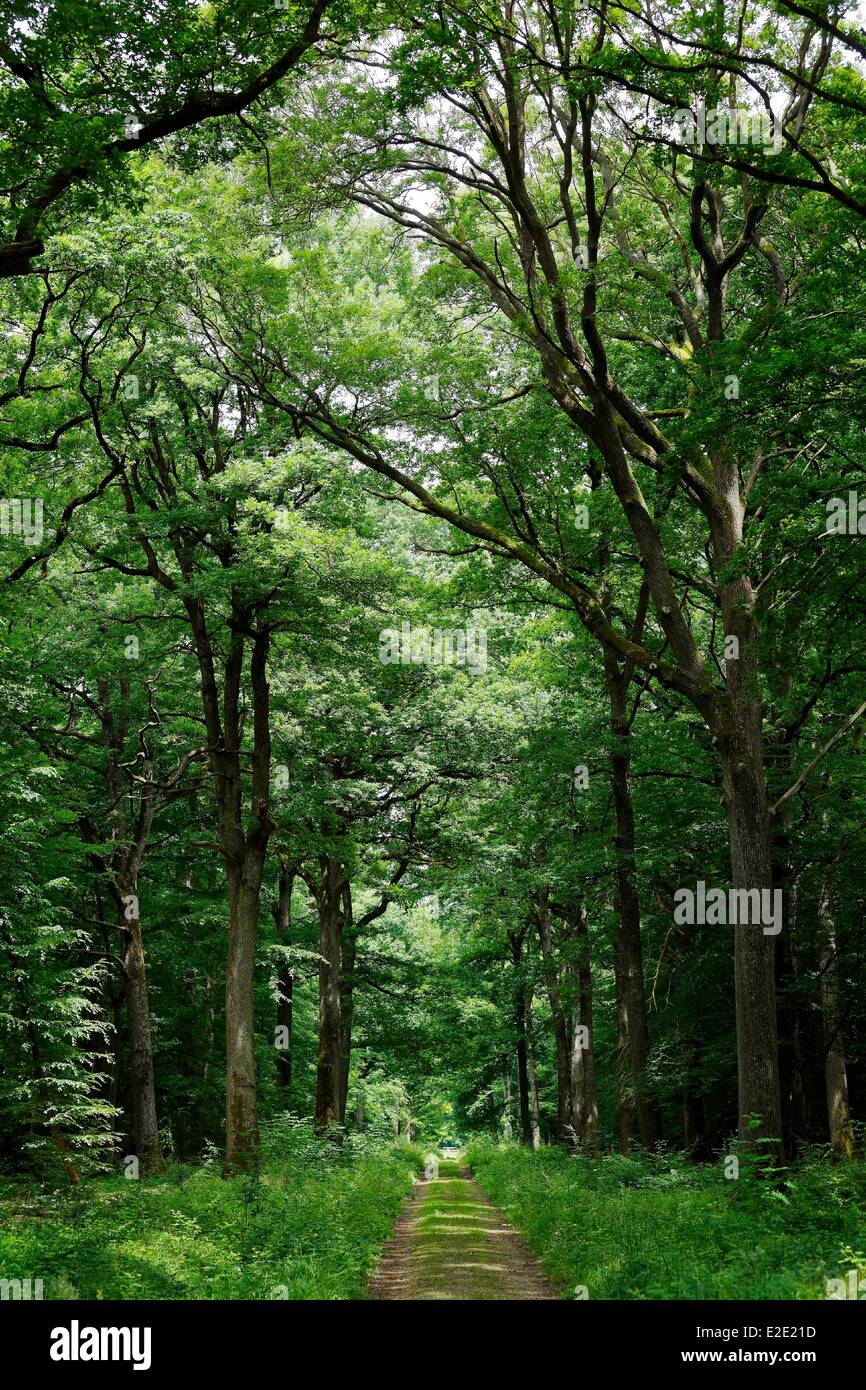 France Yvelines (78) Rambouillet le Parc d'en Haut Stock Photo  Alamy