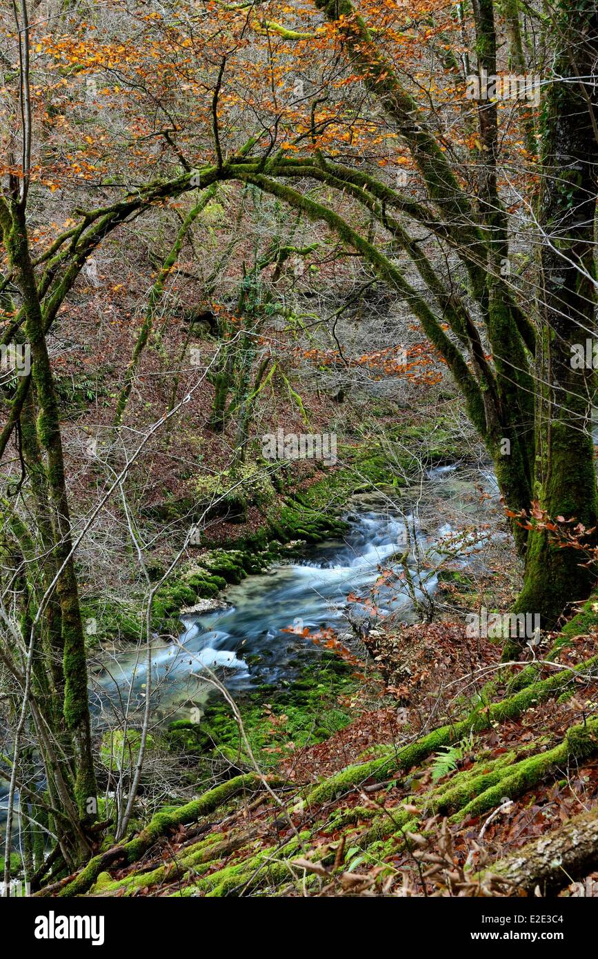 France Doubs Ouhans Gorges de Nouailles Loue river near the source Stock Photo