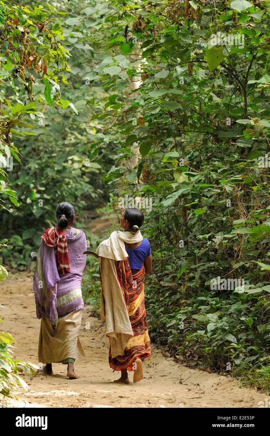Bangladesh Sreemangal (ou Srimangal ou Srimongol) the tea capital 2 women of a tribal village in the Lawachara (ou Lowacherra) Stock Photo