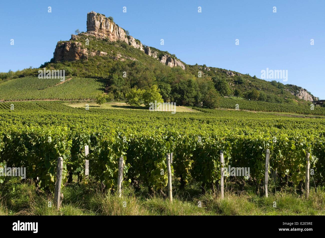 France, Saone et Loire, Solutre Pouilly, Solutre rock, Macon vineyard Stock Photo