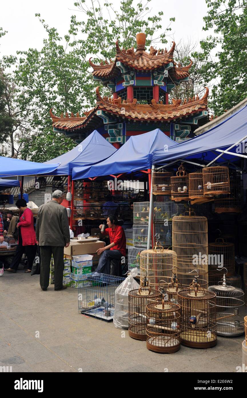 China, Beijing, Shilile flower and bird market Stock Photo