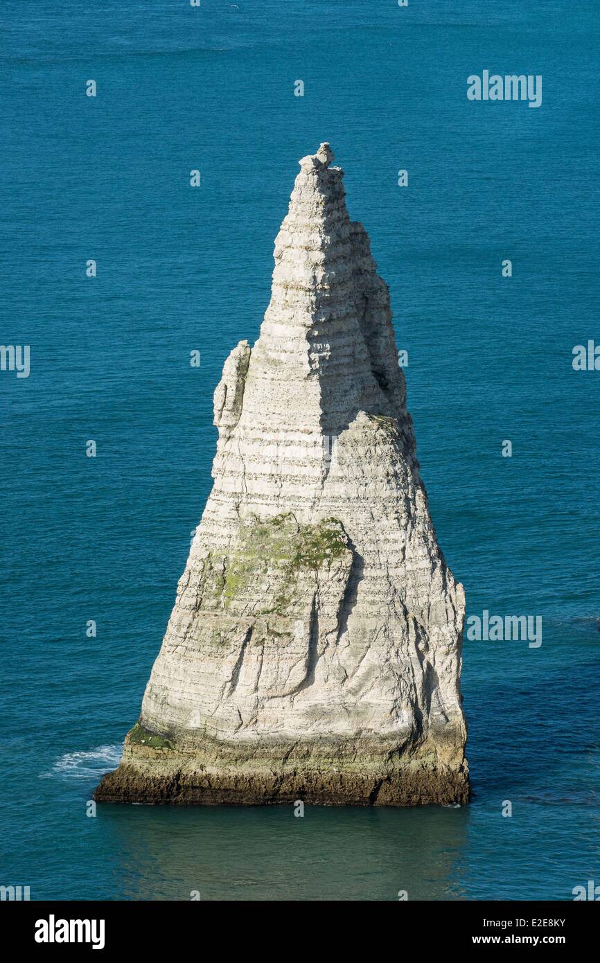 Coast etretat aiguille rock hi-res stock photography and images - Alamy