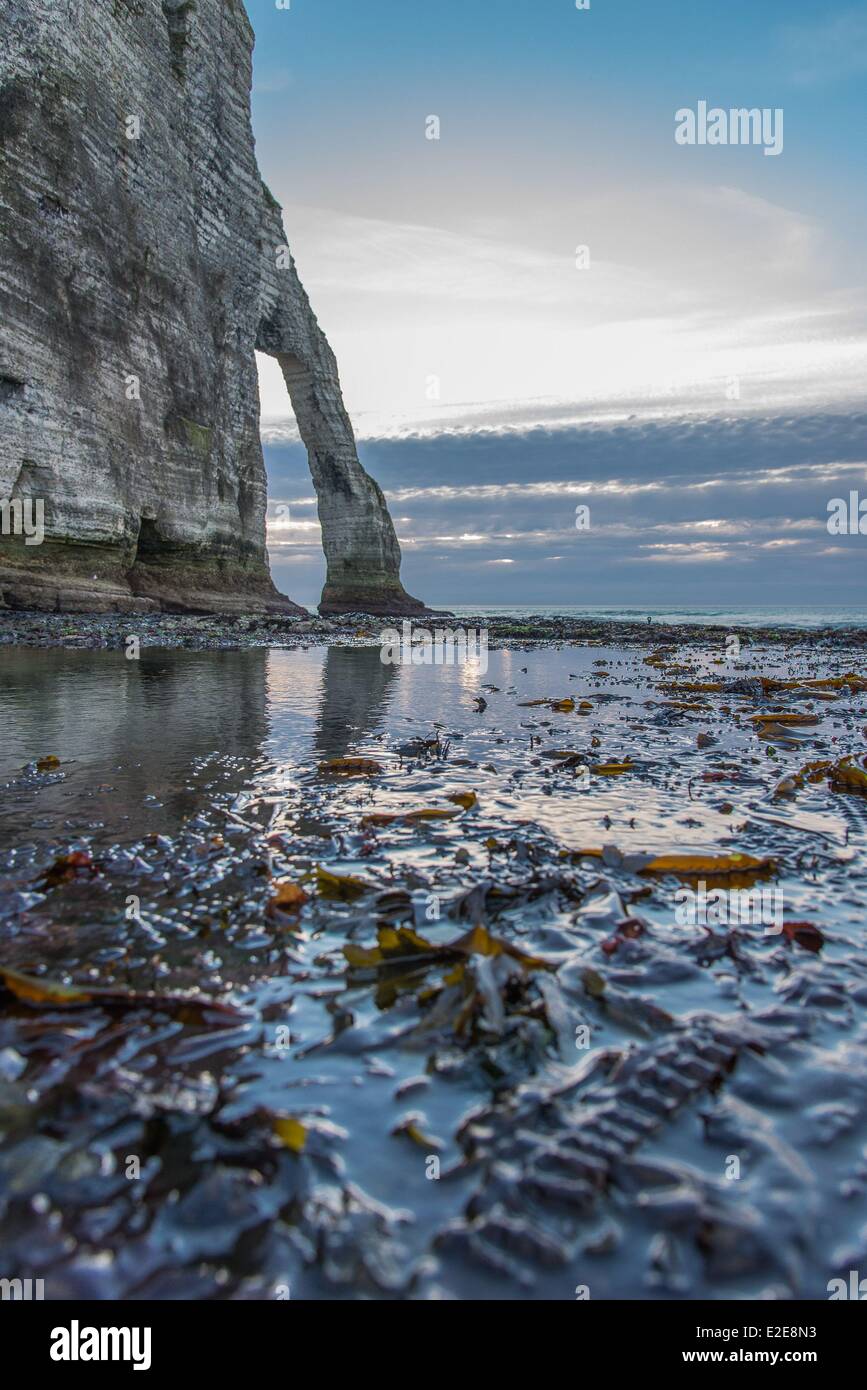 France, Seine Maritime, Etretat, the beach, arch of Aval cliff at low ...