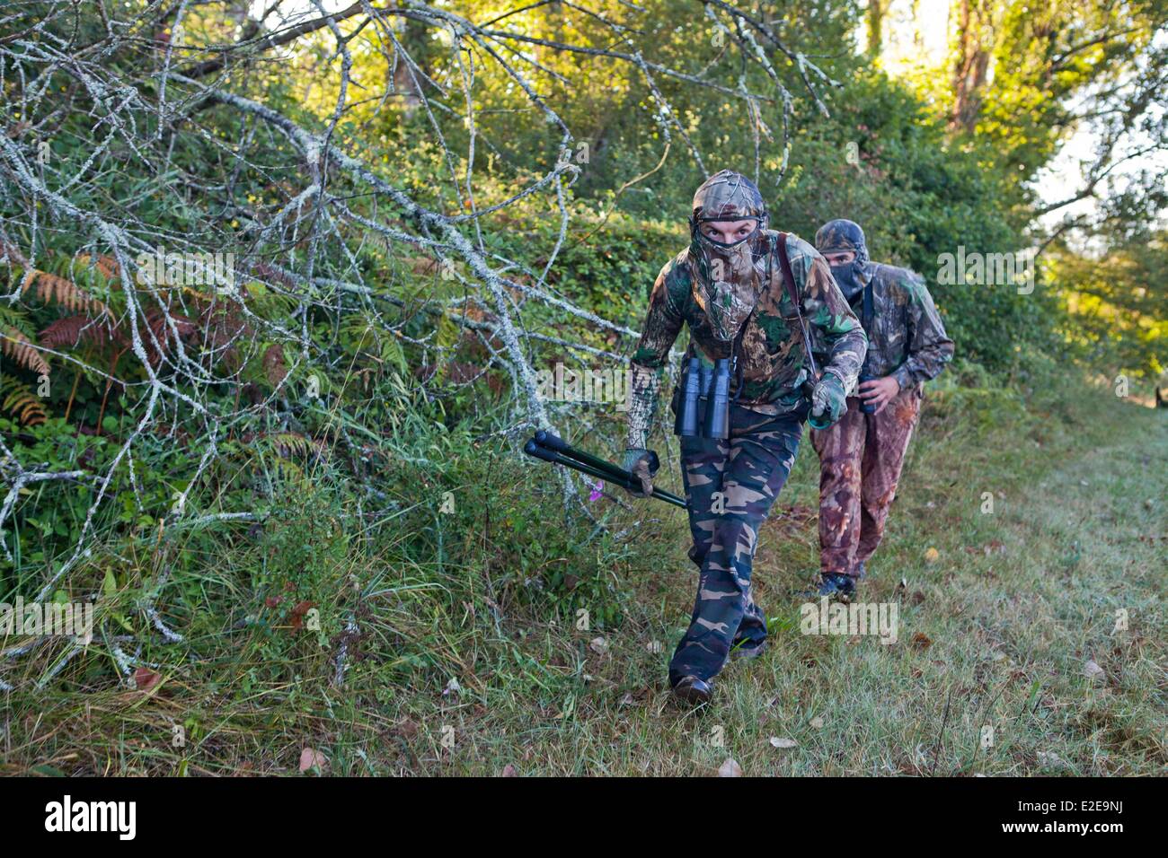 France, Lot, deer hunting Stock Photo Alamy