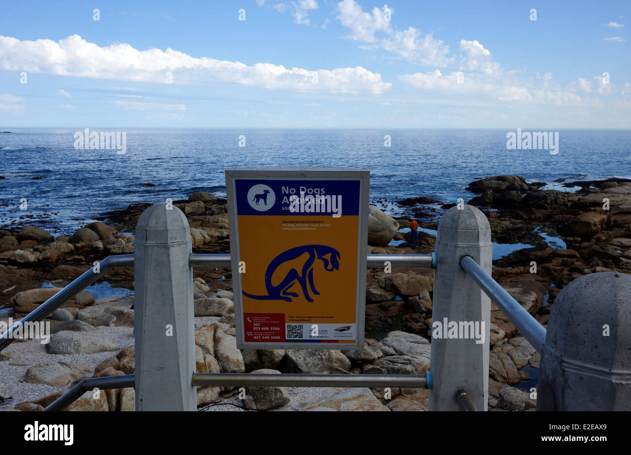 No dogs allowed sign at Saunders Rocks beach in Sea Point, Cape Town