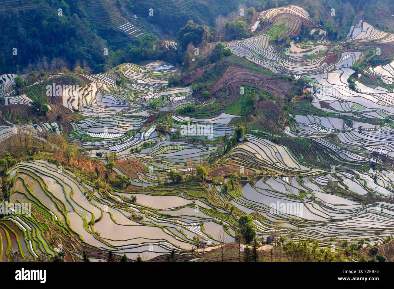 China Yunnan province Yuanyang Cultural Landscape of Honghe Hani Rice Terraces listed as World 